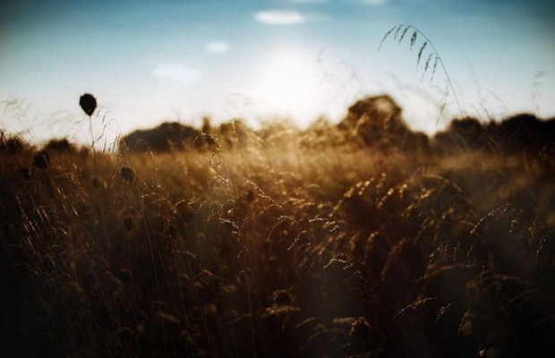 Radiologer till uppdrag i hela Sverige