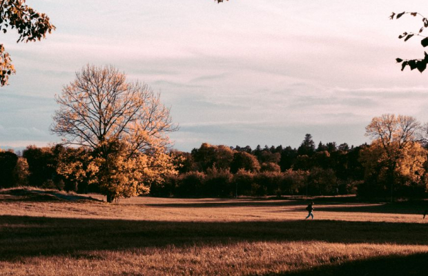 Legitimerade läkare samt allmänspecialister till privata uppdrag i hela landet